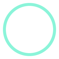 planProfessional20h170